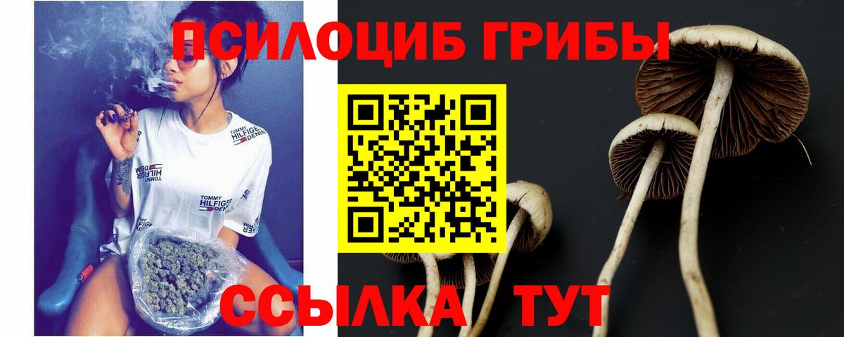 Псков  Галлюциногенные грибы мицелий  Галлюциногенные грибы мухоморы  Вход с VPN 